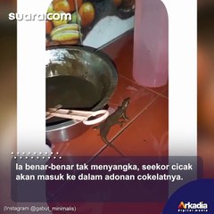 Nyesek! Wanita Ini Alami Kejadian Tak Terduga, saat Hendak Menikmati Cokelat