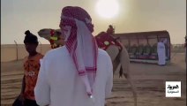 انطلاق مهرجان ولي العهد للهجن في ميدان الطائف