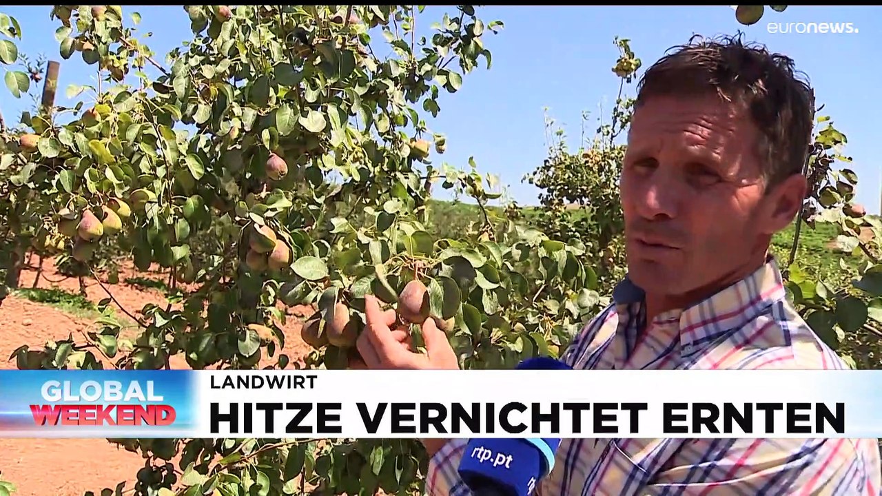 Nachrichten des Tages | 23. Juli - Mittagsausgabe