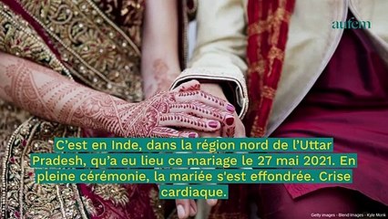 Actu candice