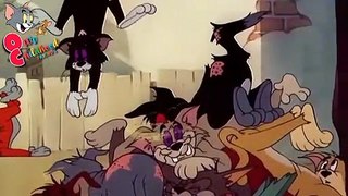 পর্ব ৫৭ - বিলাই পেটানো বাকের ভাই | Tom and Jerry | Original Dubbed | Bangla Episode