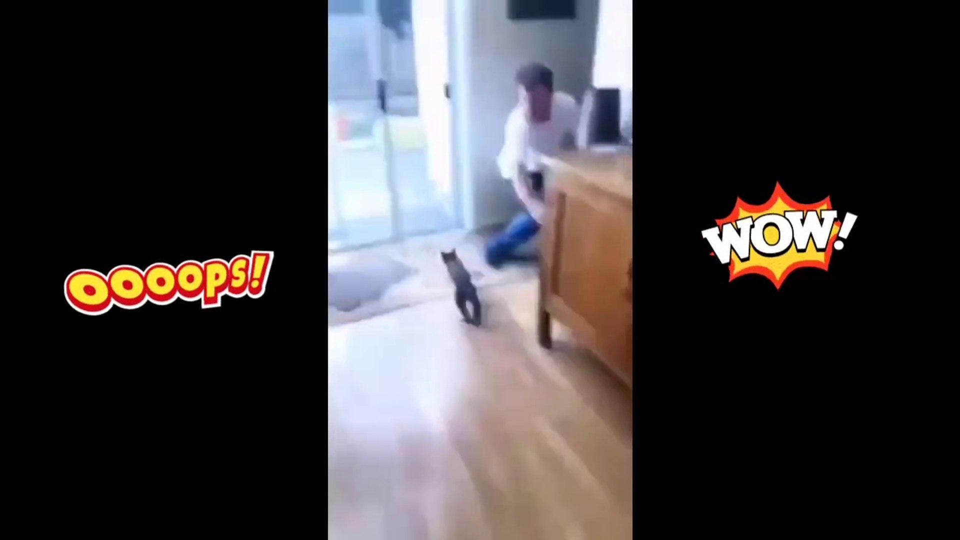 ⁣Funny Animals Funny Animals Videos