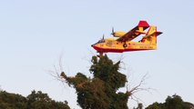 Canadair in azione nella Pineta di Castel Fusano