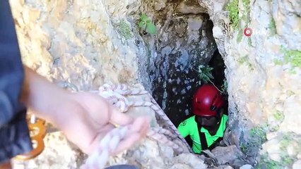 15 metrelik obruğa düşen keçiyi itfaiye kurtardı