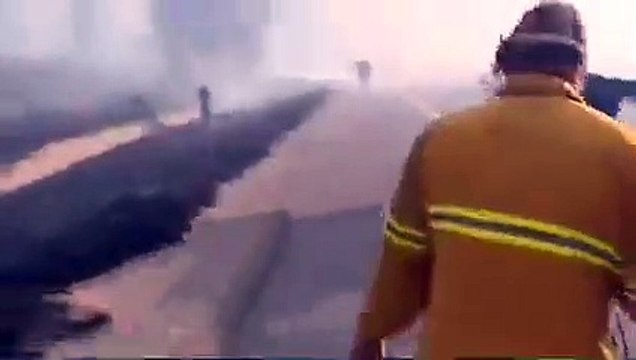 Ailesi için alevlerin arasına dalan at izleyenlerin içini ısıttı