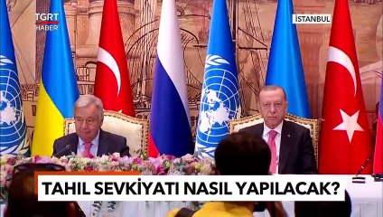 İstanbul'daki Tarihi Anlaşma İlk Meyvesini Verdi! Buğdayda Değer Kaybı: Savaş Öncesinin Altına Düştü