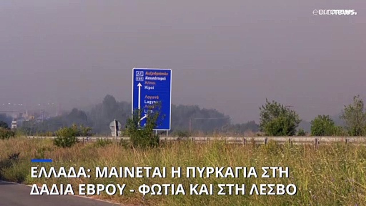 Πυρκαγιά στη Δαδιά: Πυκνοί καπνοί δυσχεραίνουν...
