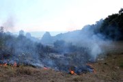Son dakika haberi | Samsun'da örtü yangını: 3 dönüm alan zarar gördü