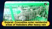 Gujarat: Crocodiles enter residential areas due to rain