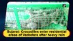 Gujarat: Crocodiles enter residential areas due to rain