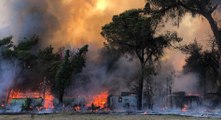 Roma - Incendio nella pineta di Castel Fusano (23.07.22)