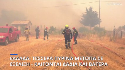 Δασική πυργκαγιά στη Λέσβο - Προληπτική εκκένωση του τουριστικού οικισμού των Βατερών