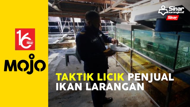 Jual ikan larangan di media sosial elak dikesan pihak berkuasa