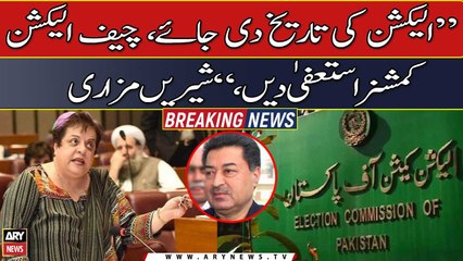 We demand a date for elections and Chief Election Commissioner's resignation, Shireen Mazari
