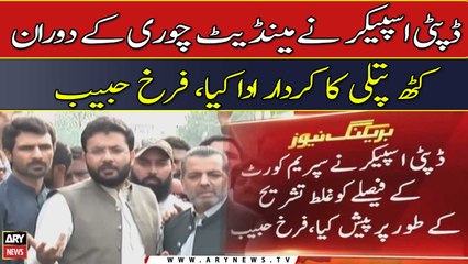 "Deputy speaker played the role of a puppet during the mandate theft", Farrukh Habib