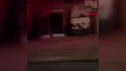 RİZE'DE SOKAĞA İNEN AYI KAMERADA