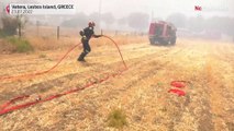 Emergency evacuation on the Greek island of Lesbos due to forest fire