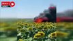 Silivri’de buğday yüklü kamyon alev alev yandı