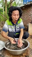 Amazing Unique Cooking With Natural Life (Cooking turtle chicken small fish pig livers)
