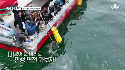 잡기 어려운 매퉁이만 계속 잡는 뱀뱀(ㅋㅋㅋ), 다시 찾아온 뱀뱀 입질! 이번엔 광어일까?