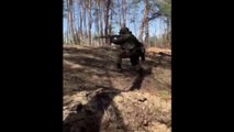 Russian Armed Forces Fight In The Forest Towards Luhansk. Attack Ukrainian Troops
