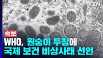 [속보] WHO, 원숭이 두창에 국제 보건 비상사태 선언 / YTN