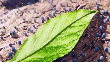 JE S'APPELLE GROOT Trailer International (Marvel, 2022)