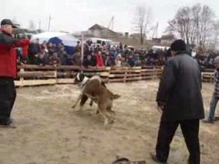 мои рисунки 151