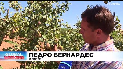 Новости дня | 23 июль — вечерний выпуск