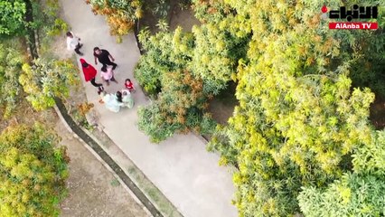 «الشجرة البستان» في الهند.. عمرها 120 عاماً وتنتج 300 نوع من المانغو