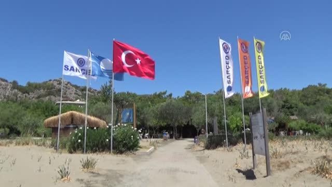 Kum zambaklarıyla ünlü halk plajına "Caretta Dostu Plaj" unvanı verildi