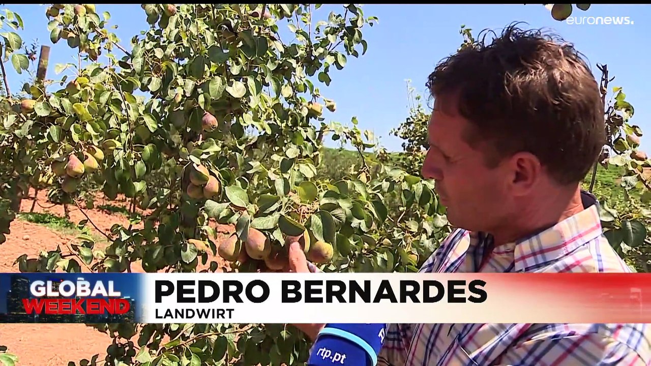 Nachrichten des Tages | 23. Juli - Abendausgabe