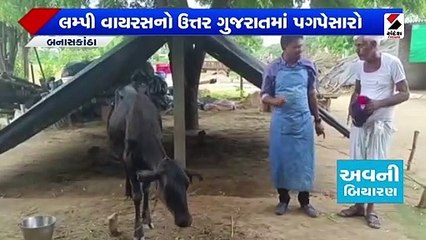 બોટાદમાં લીમ્પી વાયરસના 30 કેસ| છોટાઉદેપુરના BJP પ્રમુખ ભાન ભૂલ્યા