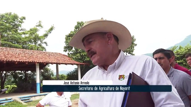 Busca Nayarit convertir el rastro regional rastro TIF | CPS Noticias Puerto Vallarta