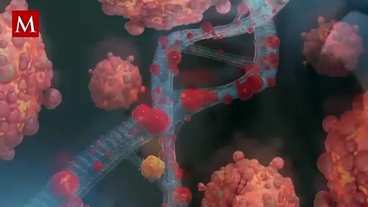 Hallan nuevos síntomas de la viruela del mono; investigan lesiones genitales y en el ano