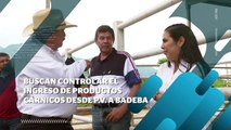 Buscan control en ingreso de productos cárnicos a Bahía de Banderas | CPS Noticias Puerto Vallarta