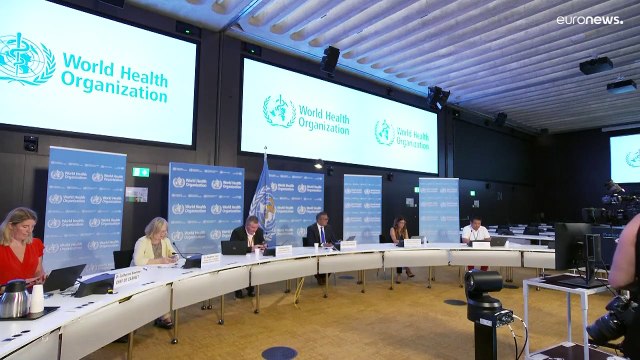 Affenpocken: WHO ruft höchste Alarmstufe aus