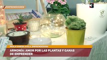 Armonía: amor por las plantas y ganas de emprender