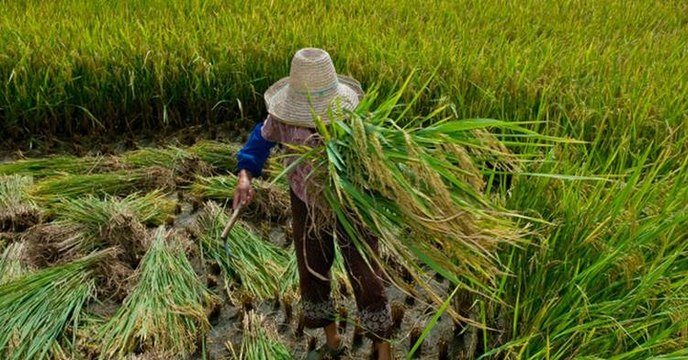 Homens da região de Cajazeiras são resgatados de trabalho escravo no estado de Santa Catarina