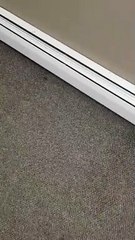 That was Scarier Then A Pregnant Chick Twerking In The Club