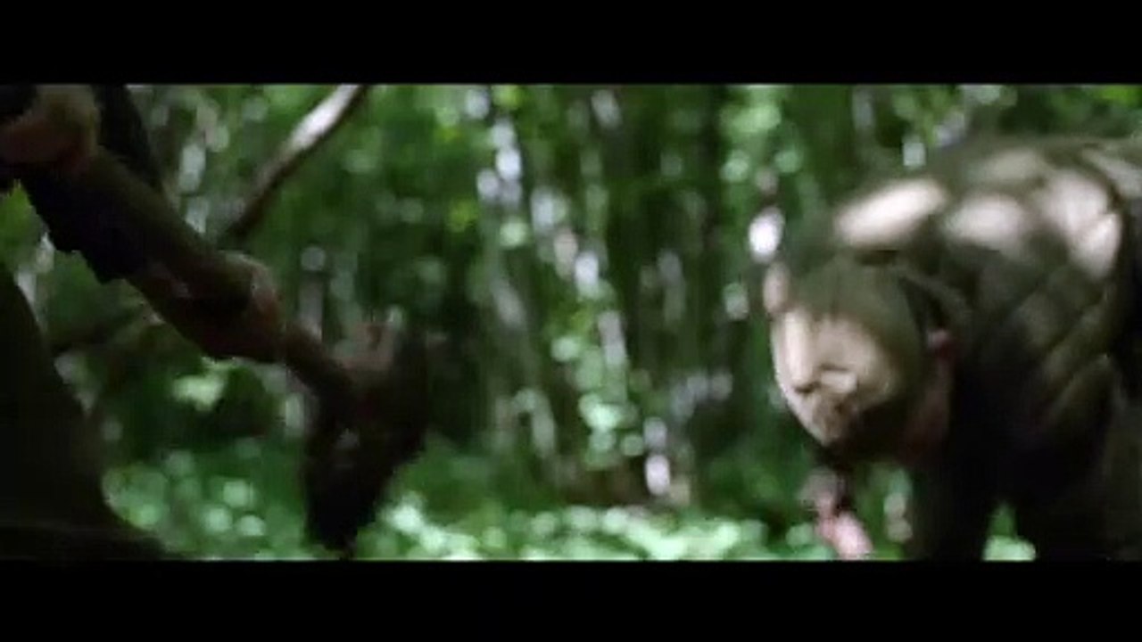 Burial Trailer