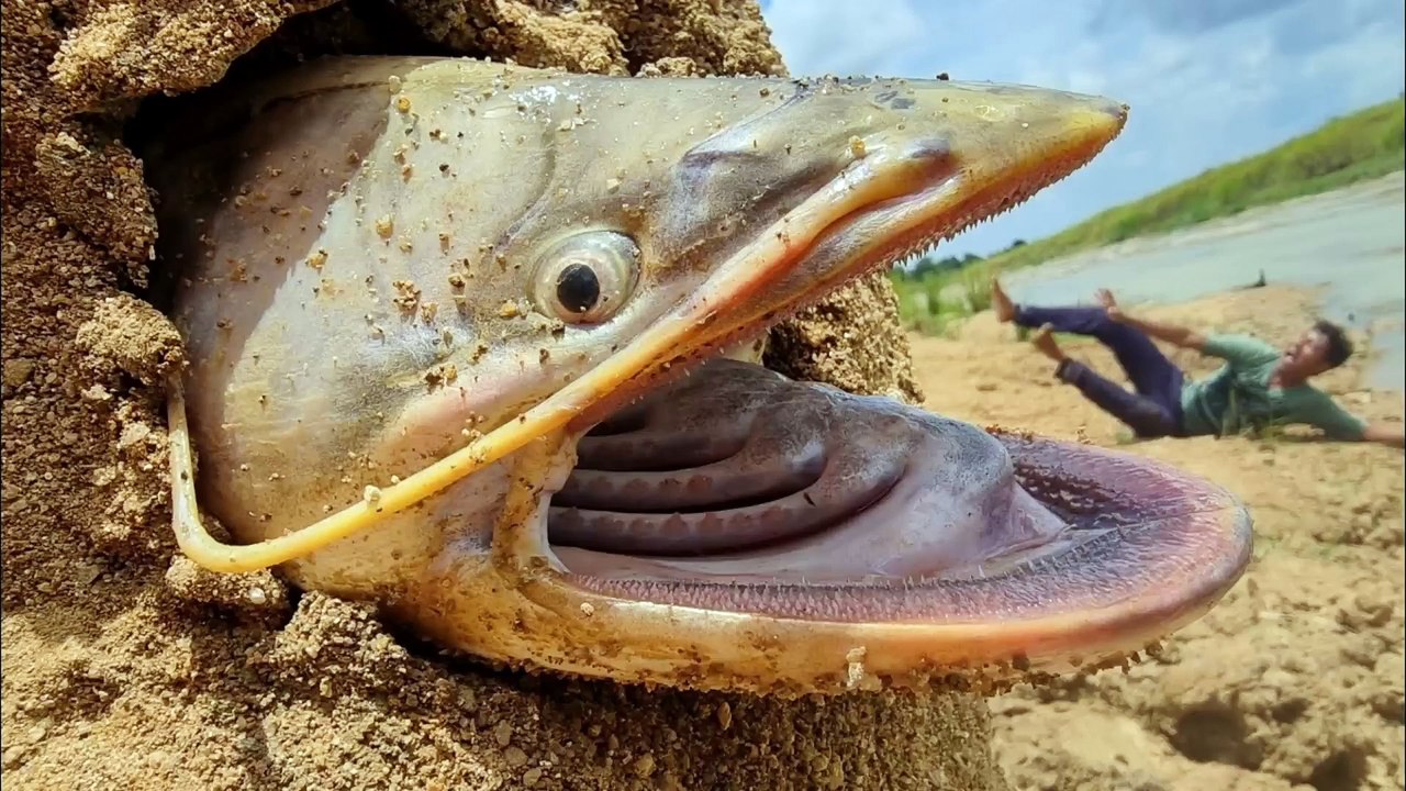 Popular Fisherman walking river horror place & Show Big Fish like monster in hole#Fishing#Fish