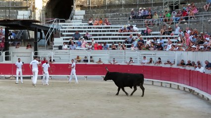 Arles 2022 - Le taureau Milord de la manade Laurent - Trophée des Arlésiens - 20 Juillet 2022