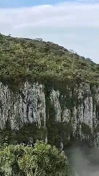 Cachorro é resgatado após cair em cânion na Serra de SC