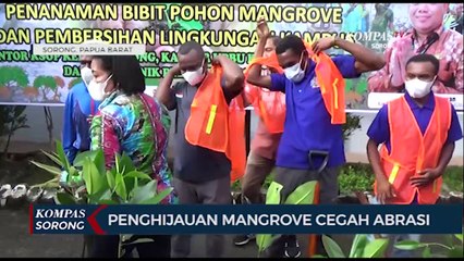 Ratusan Mangrove Ditanam Pada Fasilitas Perhubungan Di Sorong