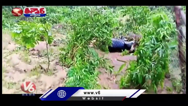 Heavy Rain Lashes Several Districts Of Telangana, Submerged Roads And Colonies | V6 Teenmaar (1)