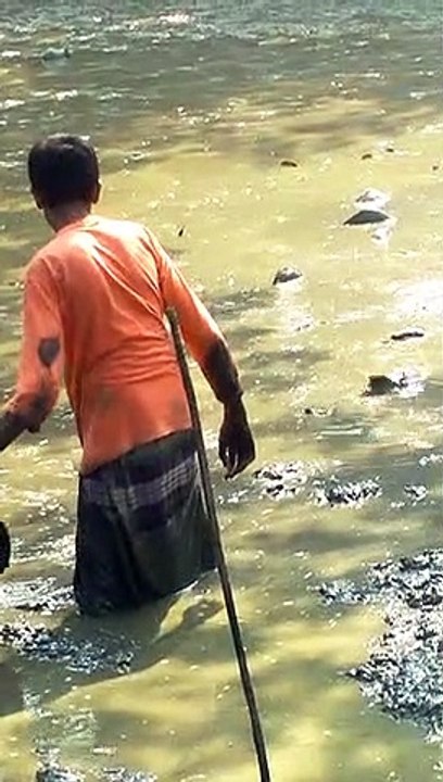 Traditional Best Mud Water Fishing