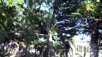 Ankara'da kaza: Anne ile çocuğu hayatını kaybetti, 4 kişi yaralandı