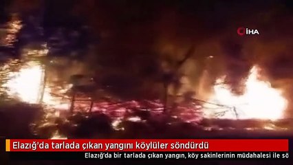 Elazığ'da tarlada çıkan yangını köylüler söndürdü