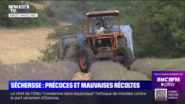 Sécheresse: une année de précoces et mauvaises récoltes pour les agriculteurs